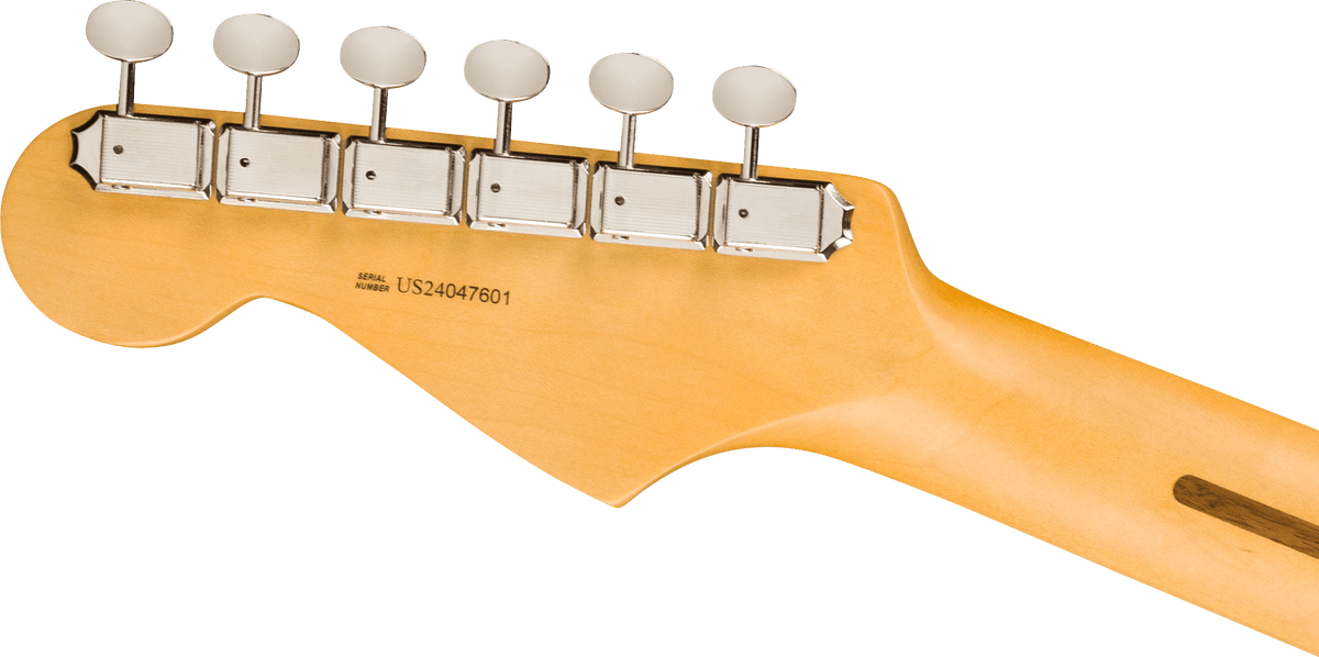 Fender American Pro Classic Strat RW FDKR