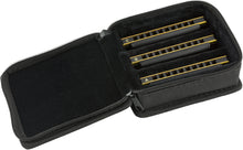Load image into Gallery viewer, FENDER BLUES DEVILLE HARMONICA 3 PACK C, G & A WITH CASE