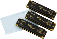 Load image into Gallery viewer, FENDER BLUES DEVILLE HARMONICA 3 PACK C, G & A WITH CASE