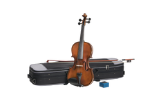 Load image into Gallery viewer, Stentor Graduate 4/4 size Violin