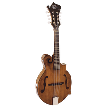 Load image into Gallery viewer, B & M SALVINO MANDOLIN