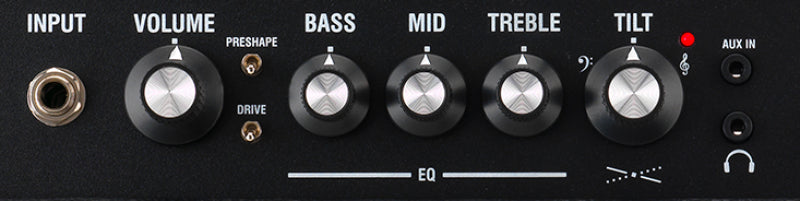 Laney DIGBETH FOUNDRY 30W 1x8 BASS AMP