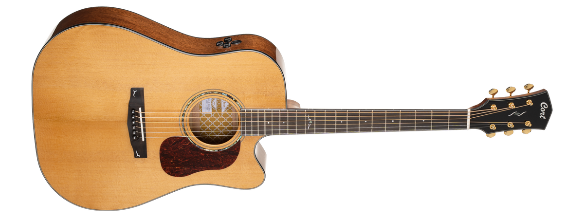 CORT Gold DC-6 Nat Dreadnought Guitar Gloss Natural w Soft Case