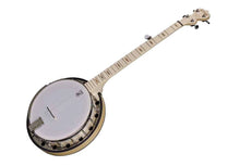 Load image into Gallery viewer, Goodtime two 5 string with Resonator
