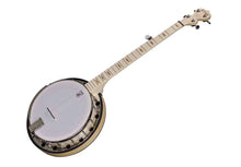Load image into Gallery viewer, Goodtime two 5 string with Resonator