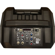 Load image into Gallery viewer, LEEM 25W Compact Port PA