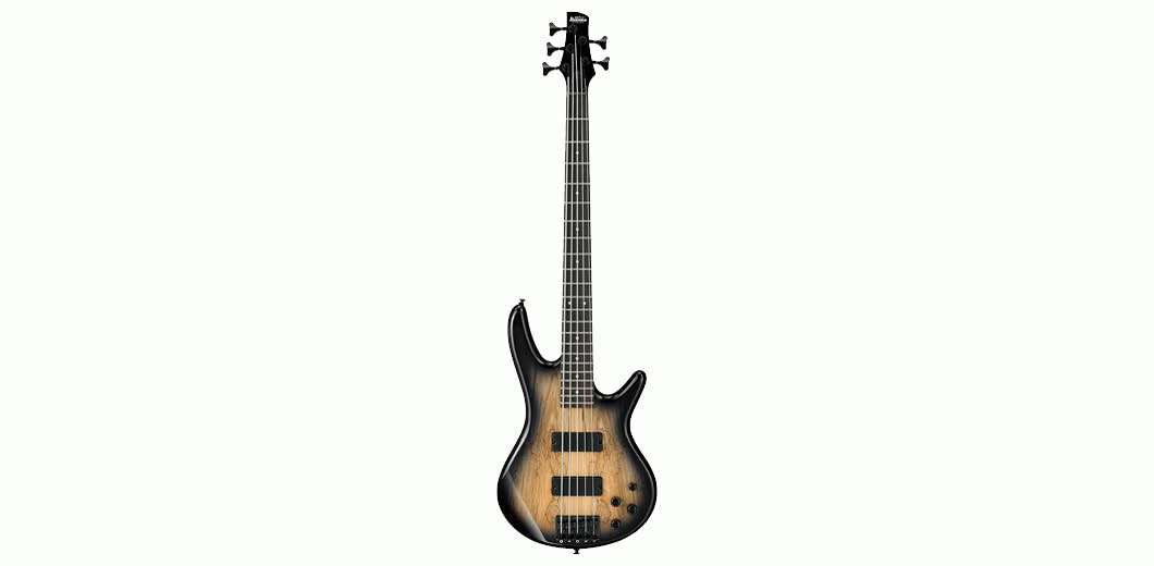 Ibanez SR2055SM NGT Bass 5 String