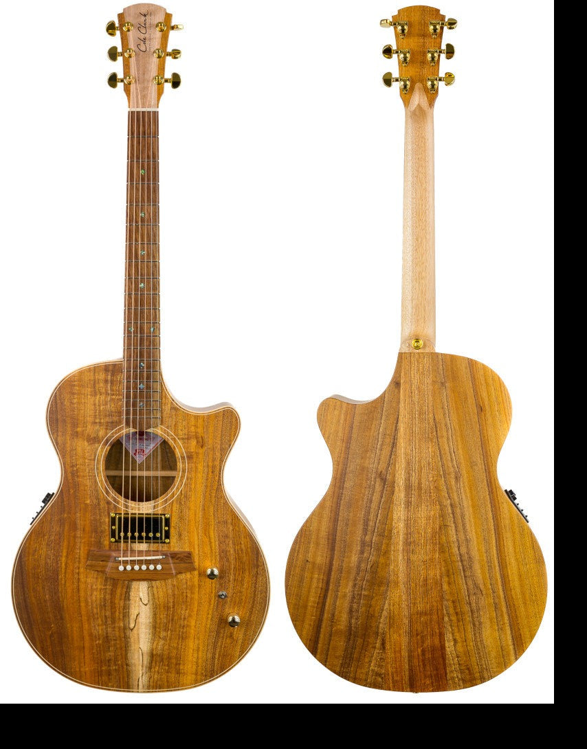 Cole Clark Thin Line All BLW Humbucker