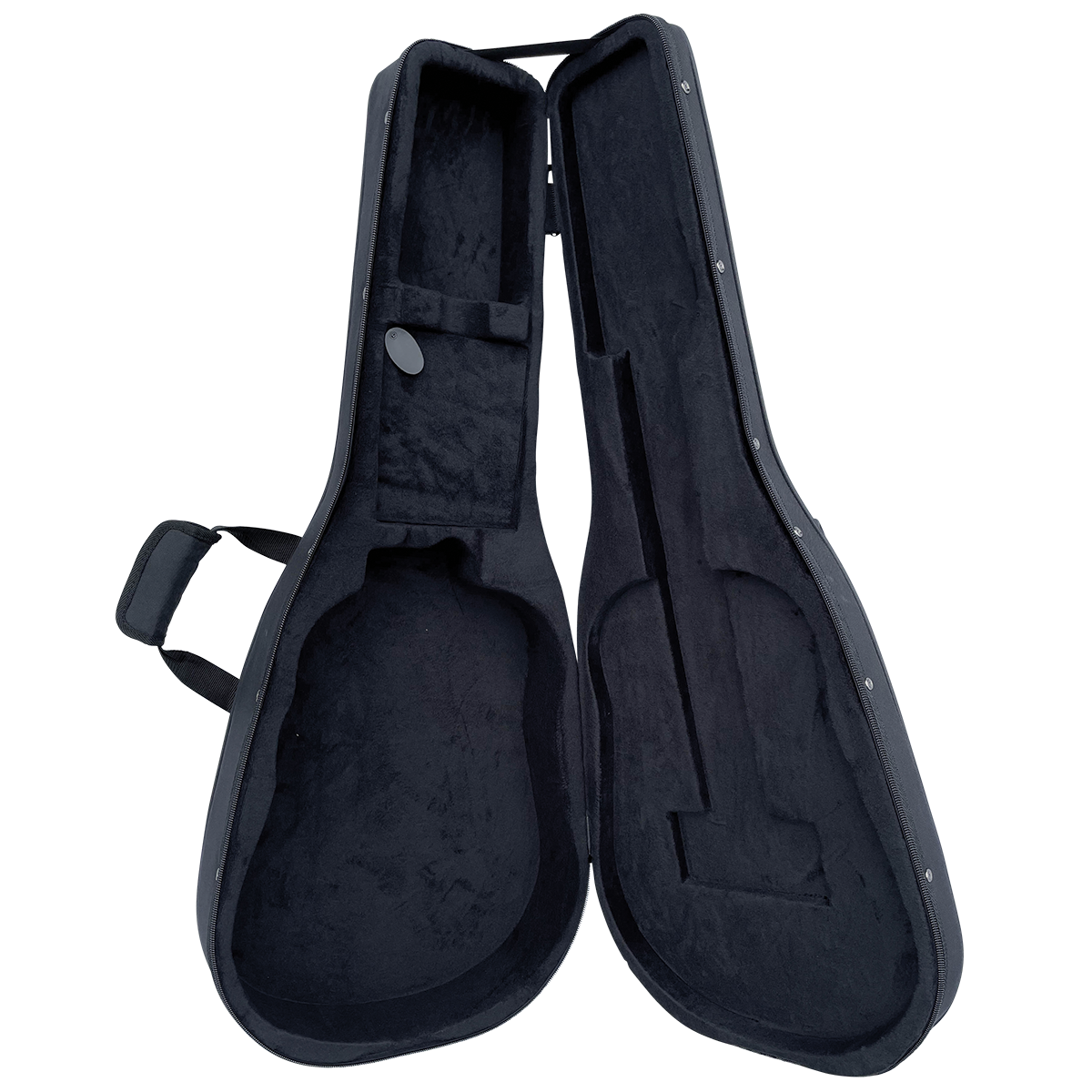 Tanglewood TP5-SE El/Ac Dred