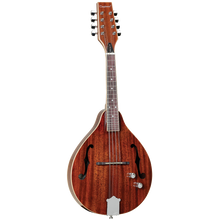 Load image into Gallery viewer, Tanglewood TWTMTMHSTE Mandolin Solid top
