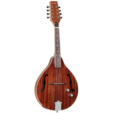 Load image into Gallery viewer, Tanglewood TWTMTMHSTE Mandolin Solid top