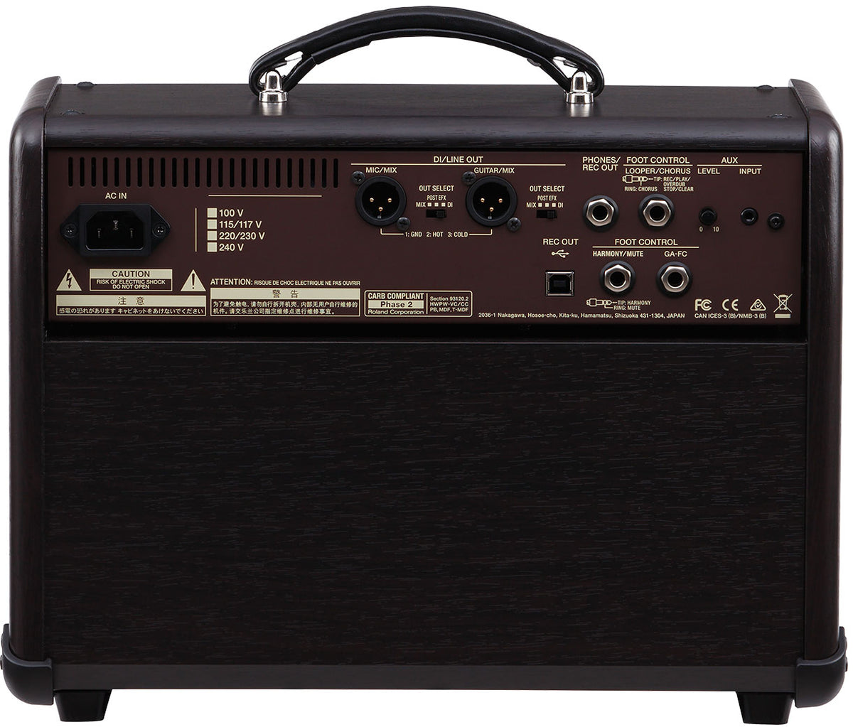 BOSS Acoustic Singer Live 60 WATT AMP