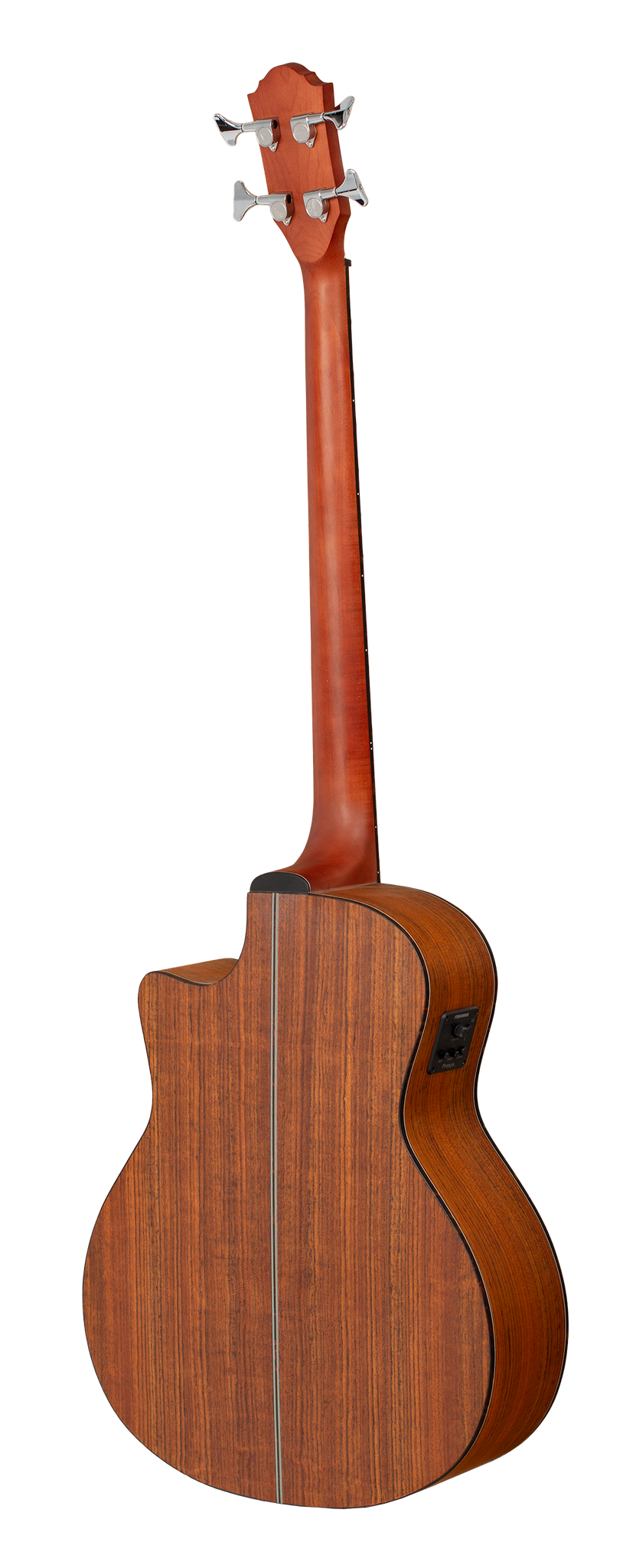 Gilman Grand Auditorium electric/acoustic bass