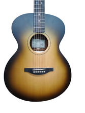 Load image into Gallery viewer, Fenech VT Auditorium BLK w/ Hardcase