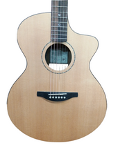 Load image into Gallery viewer, Fenech VT Grand Auditorium CMP w/ Harcase