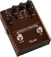 Load image into Gallery viewer, Fender Acoustic Preverb Preamp/Reverb