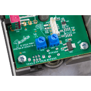 Fender Bassman Delay