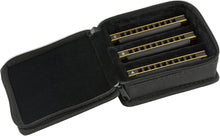 Load image into Gallery viewer, FENDER BLUES DEVILLE HARMONICA 3 PACK C, G &amp; A WITH CASE
