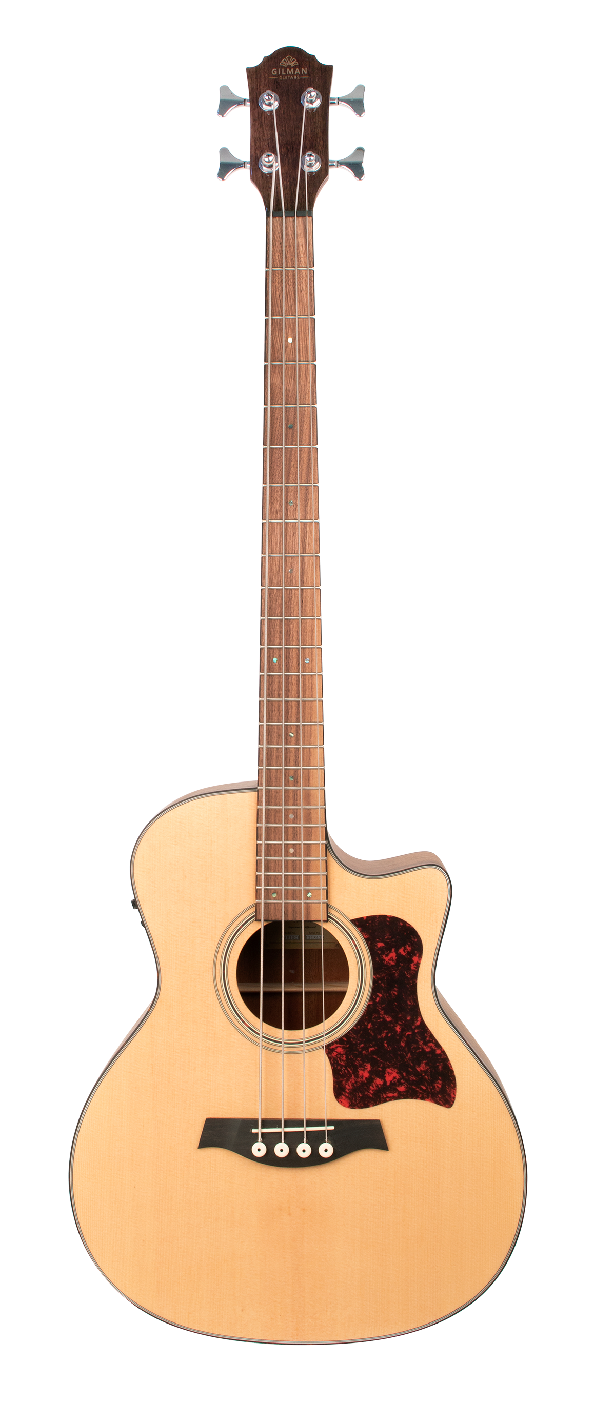 Gilman Grand Auditorium electric/acoustic bass