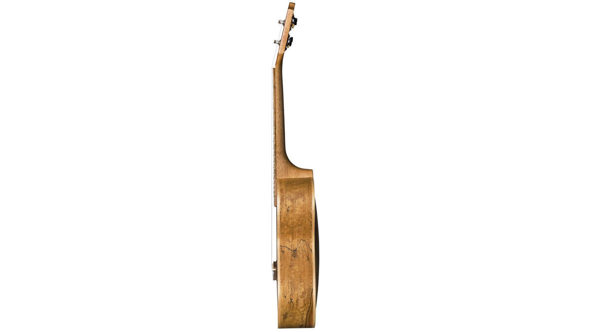 Baton Rouge UR71-C Redwood top Concert