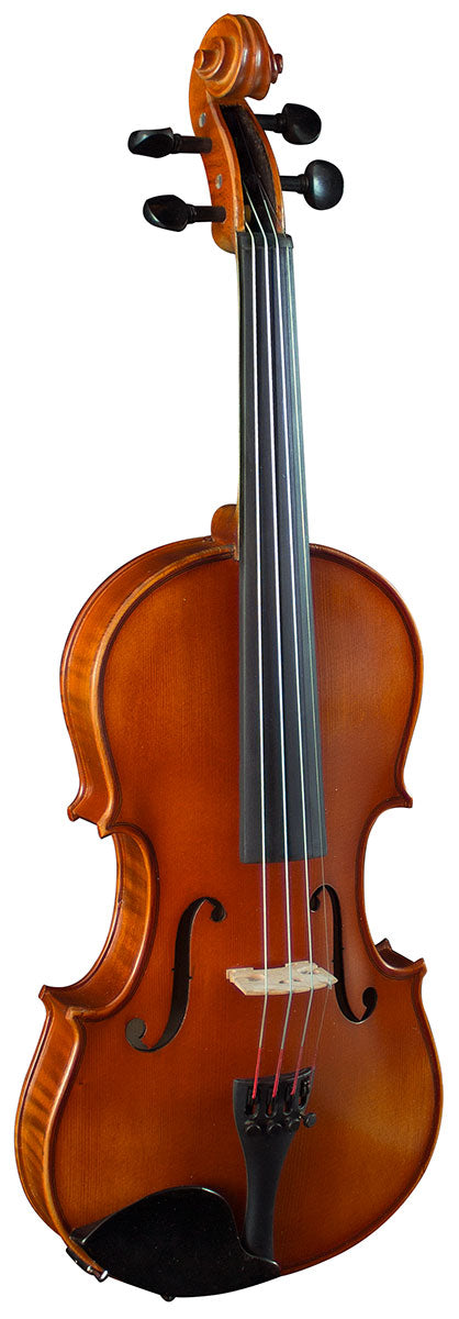hidersine Vivente 3/4 violin outfit Setup