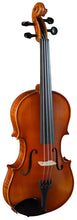 Load image into Gallery viewer, hidersine Vivente 4/4 VIOLIN OUTFIT
