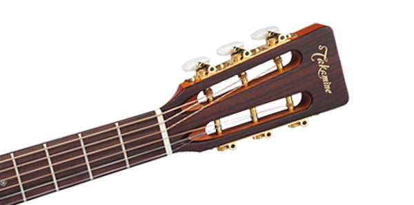 Takamine EF407 electric acoustic,