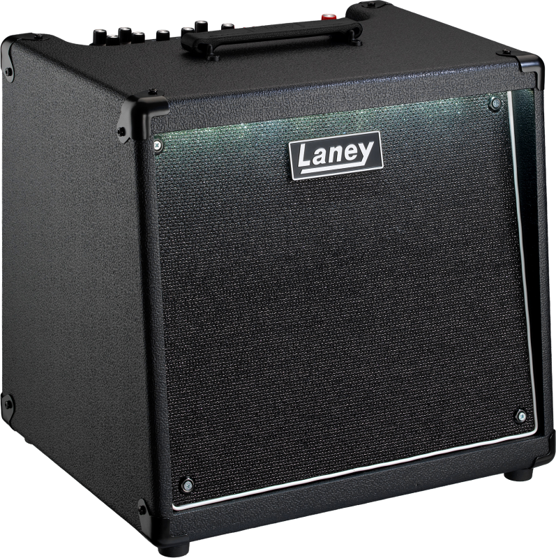 Laney AH100 AUDIOHUB 100w 1x10 MULTI AMP