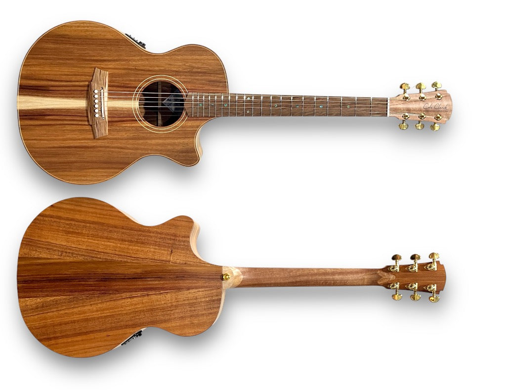 Cole Clark AN2EC All Blackwood 10554