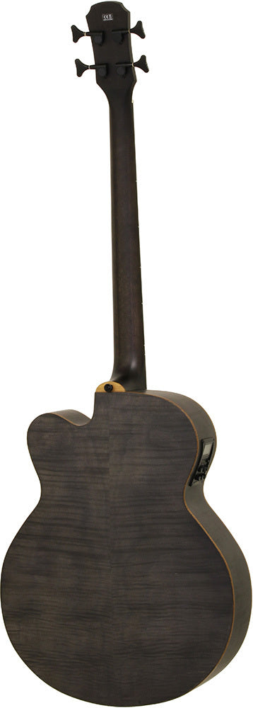 Aria Fretless Acous. Bass BK