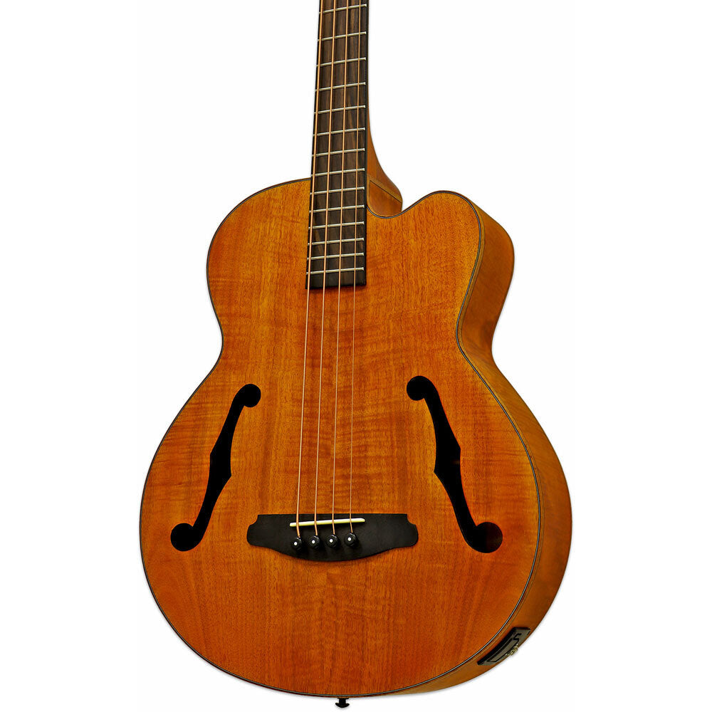 Aria FEB-F2M Elecord Series Medium Scale AC/EL Bass Guitar in Stained Brown - Acoustic Bass