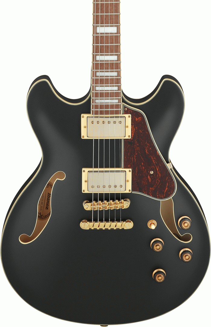 Ibanez AS73G BKF ARTcore