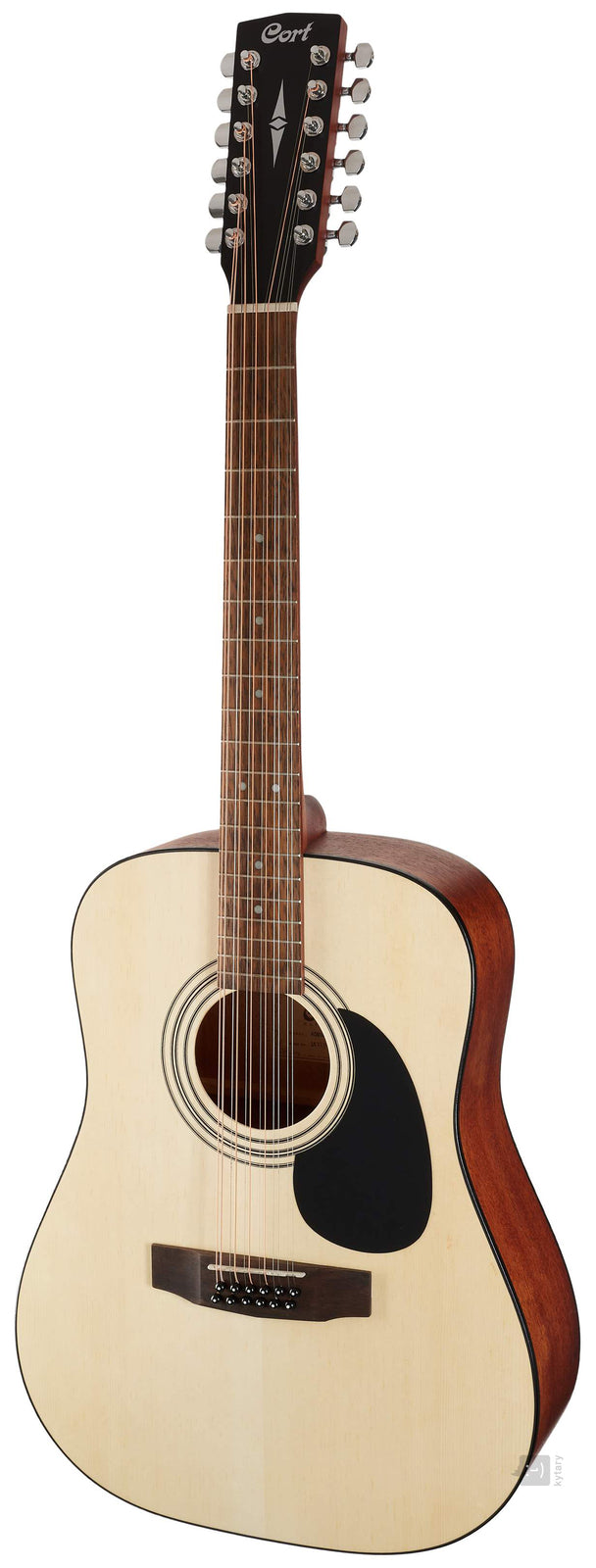 Cort AD810 12 string guitar