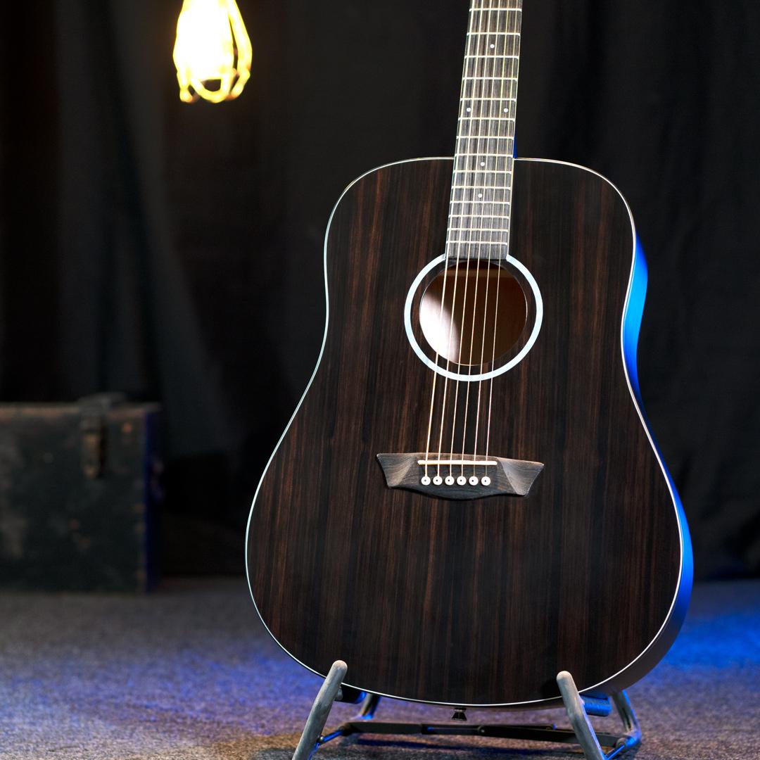 Washburn DFED-A-U Deep Forest Ebony D Dreadnought Acoustic