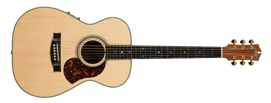 Maton EBG808-ARTIST