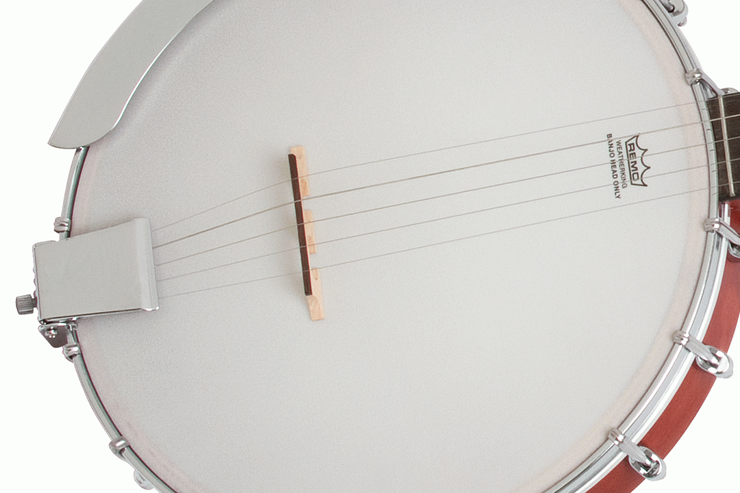 Epiphone MB-100 open back 5 string banjo Natural