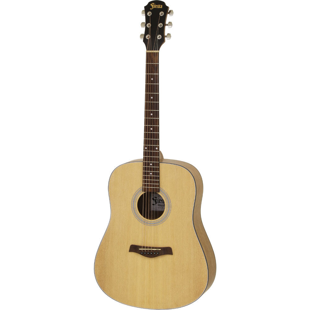 Fiesta Series Dreadnought Steel Matte Finish