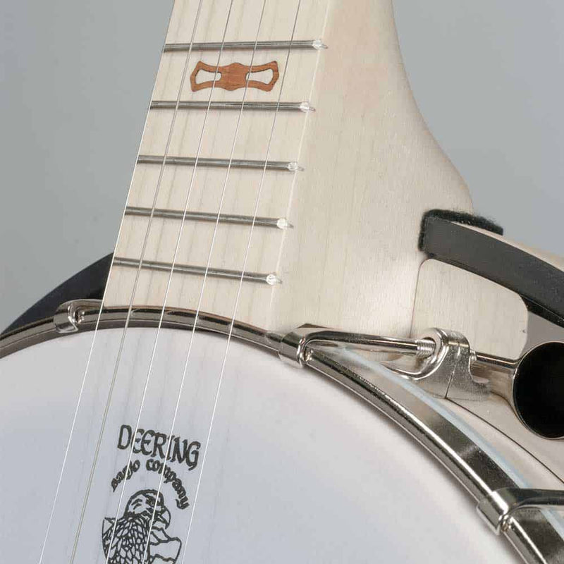 Goodtime two 5 string with Resonator