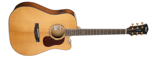 CORT Gold DC-6 Nat Dreadnought Guitar Gloss Natural w Soft Case