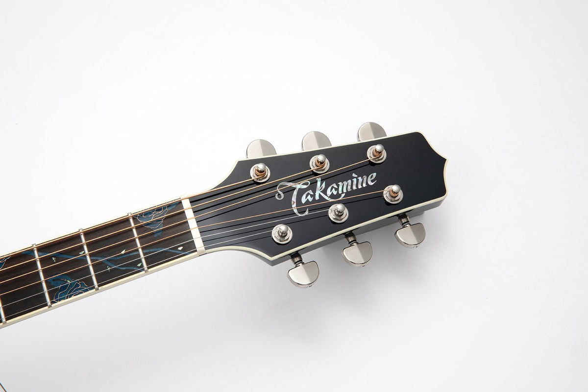 Takamine Limited 2021
