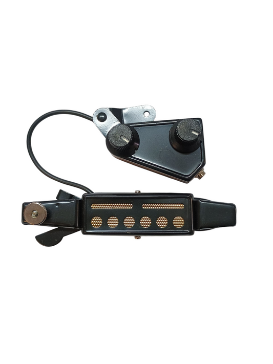 Guitar soundhole pick-up