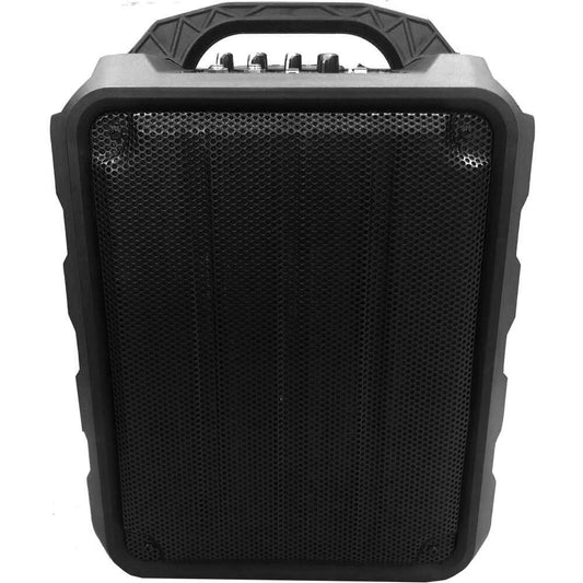 LEEM 25W Compact Port PA