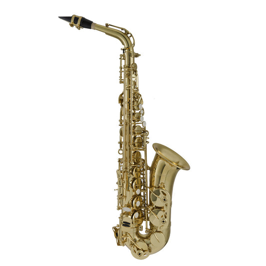 LEBLANC LAS211 ALTO SAX STUDENT OUTFIT, GOLD LACQ