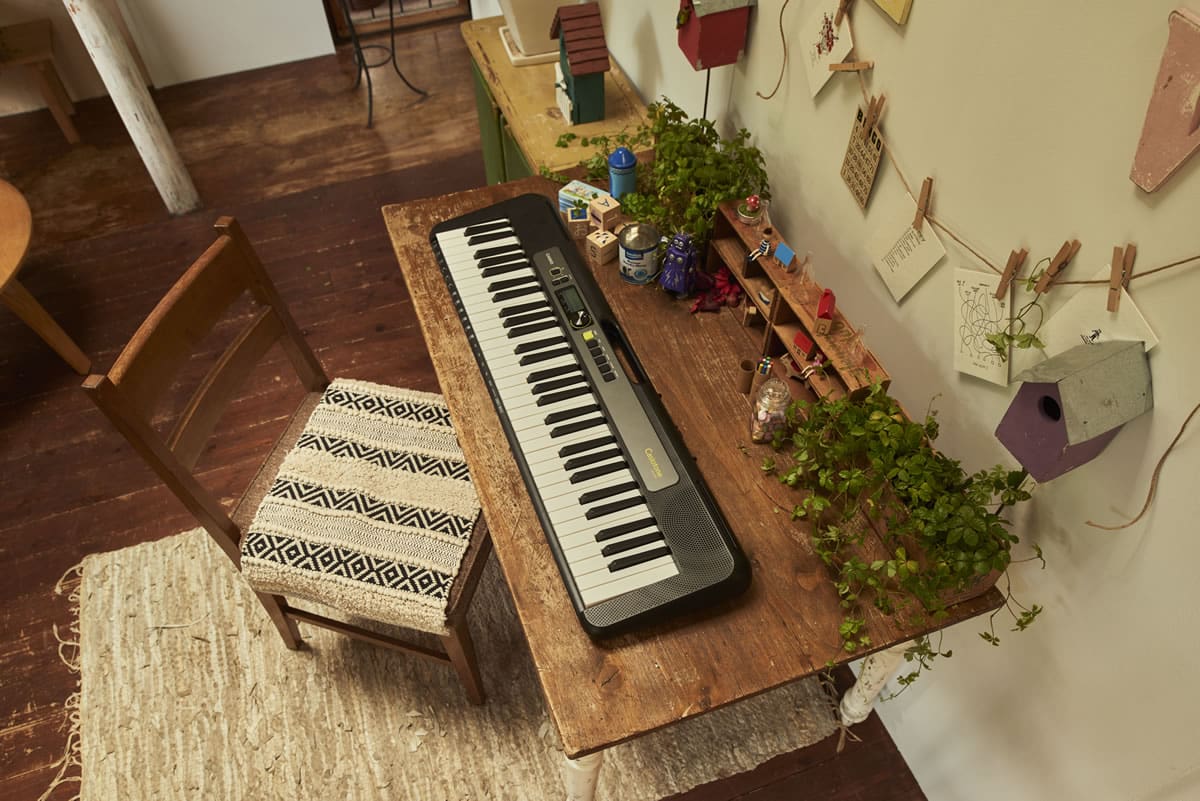 Casio LKS250 61 Lightup Keyboard