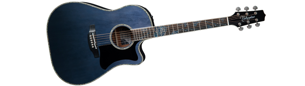 Takamine Limited 2021