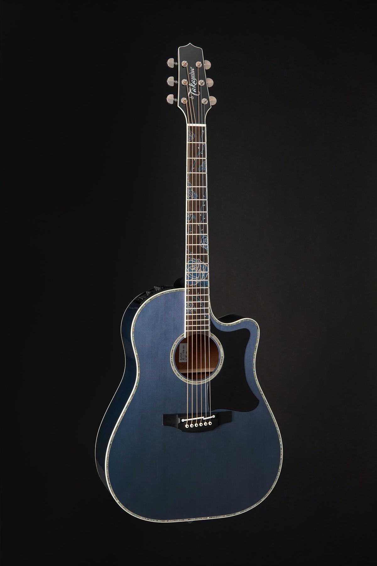 Takamine Limited 2021