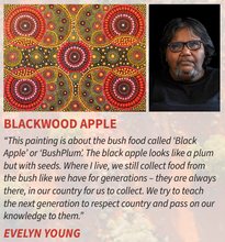 Load image into Gallery viewer, Kala Desert Storylines Concert Evelyn Young
