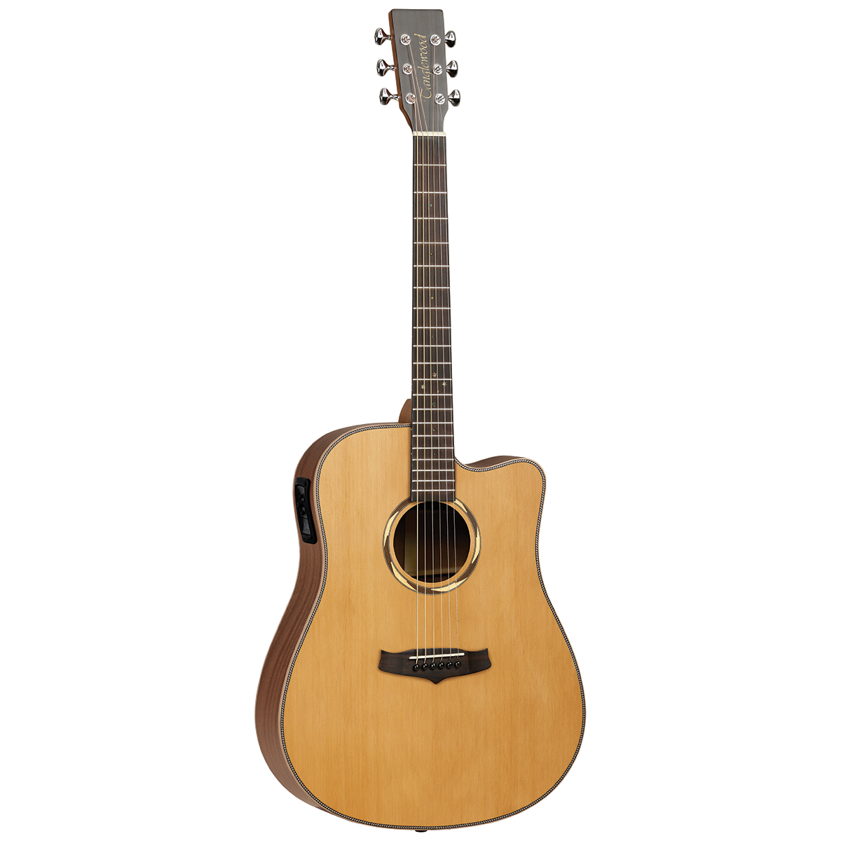 Tanglewood  20th Anniversary w/ Case - Dreadnaught Cutaway