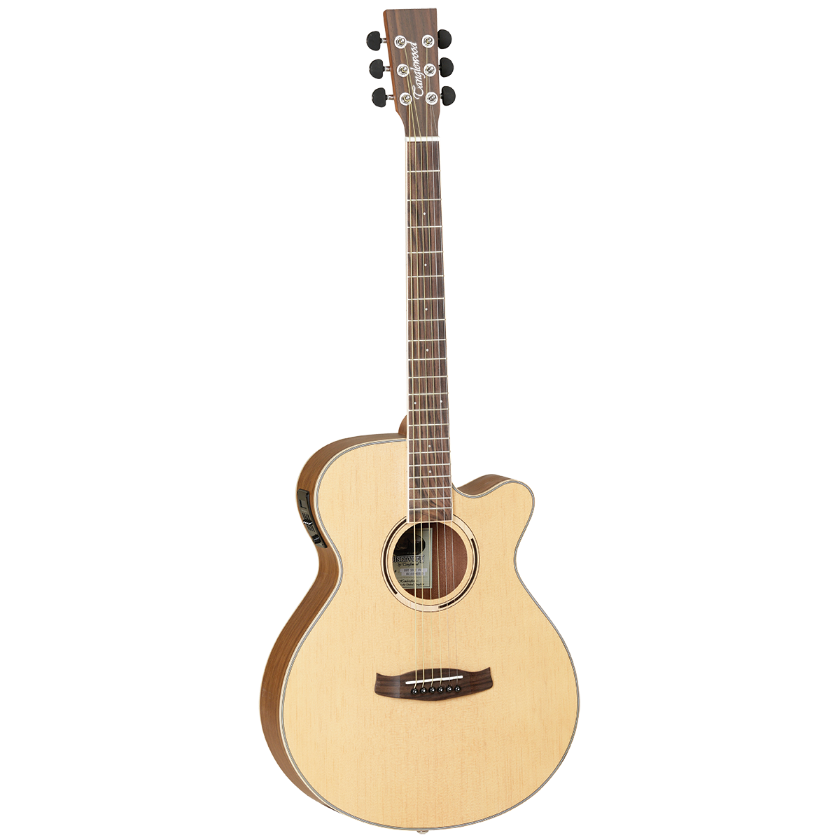 Tanglewood SFCEPW Discovery Exotic Superfolk Pacific Walnut