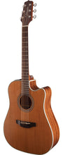 Load image into Gallery viewer, Takamine G20 Ac/El Drd Natural
